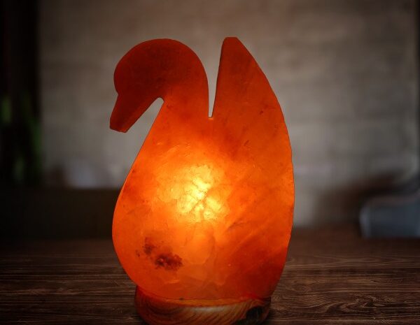 Himalayan salt lamp Handcraft